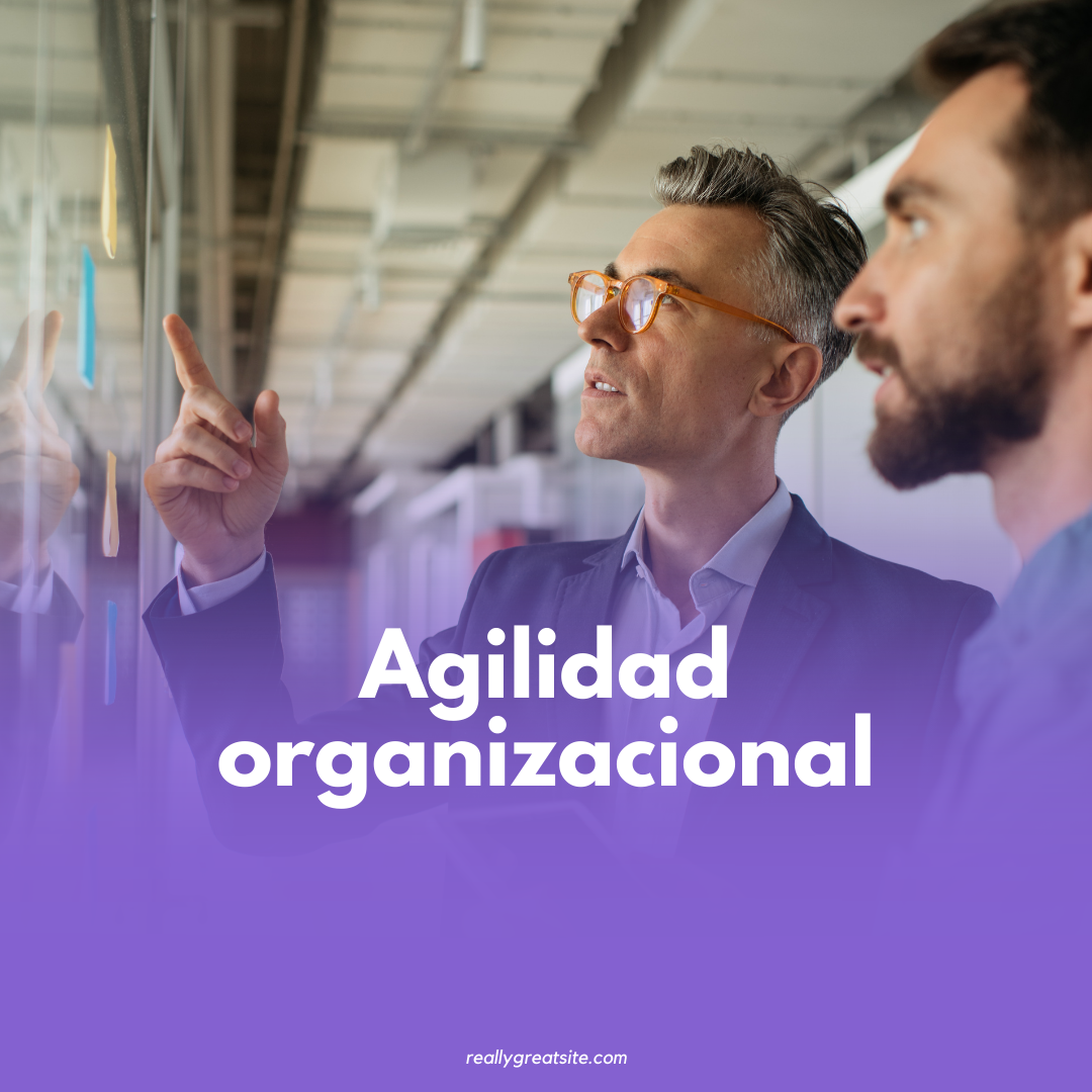 Certificación Agilidad Organizacional 