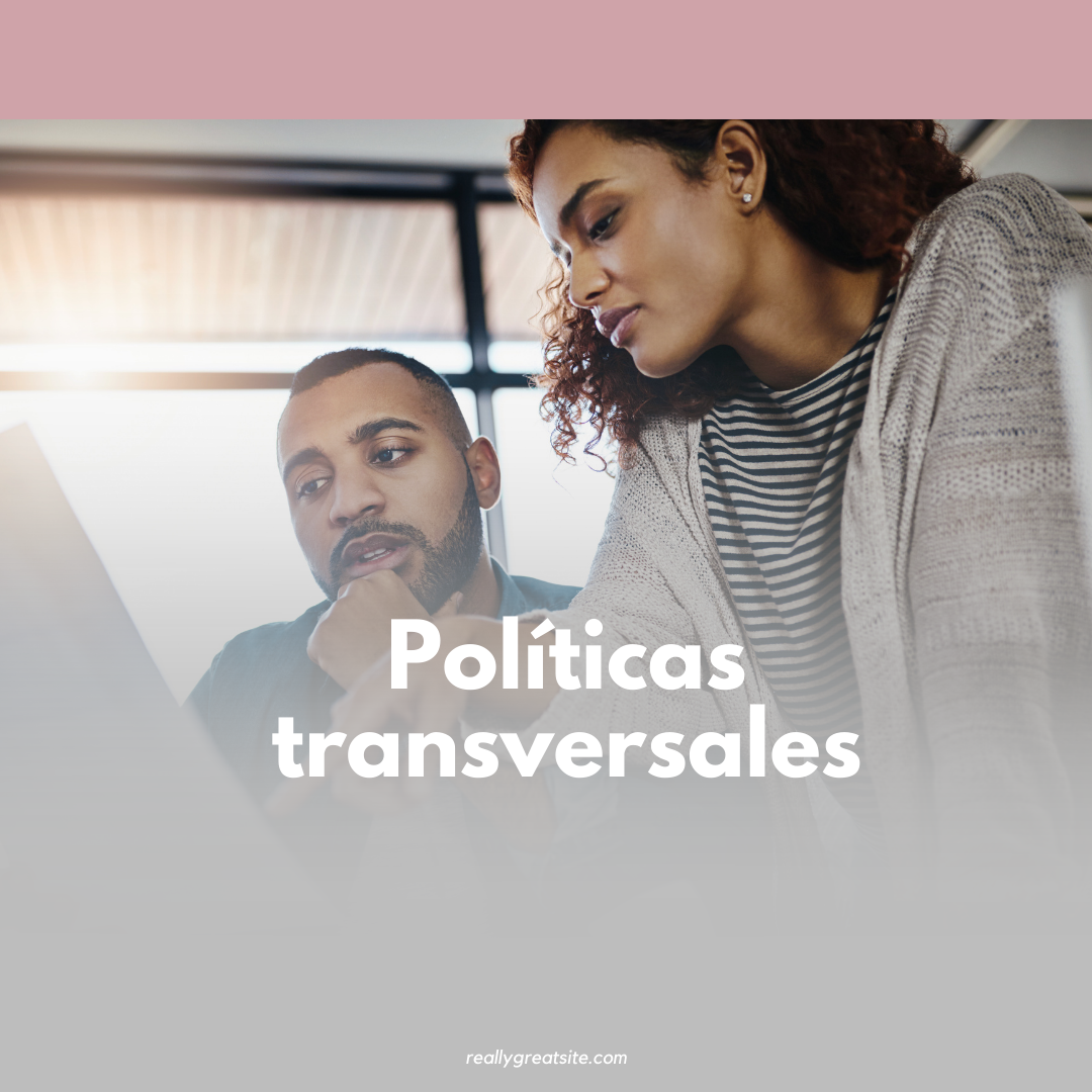 Políticas Transversales